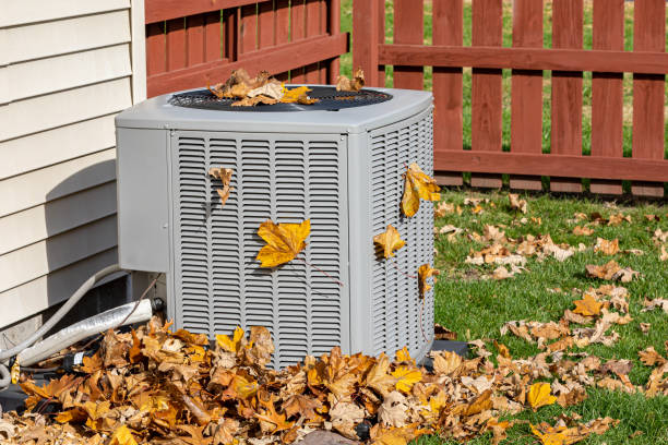 Best Seasonal HVAC Services in Ome, GA